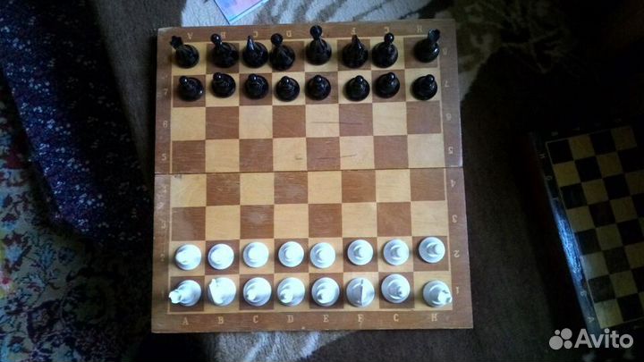 Шахматы