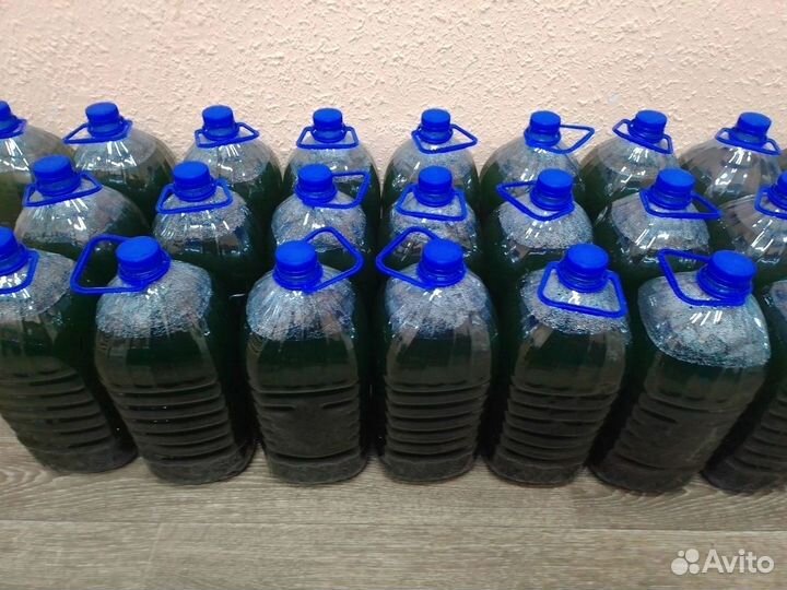 Хлорелла биологическая очистка водоёмов