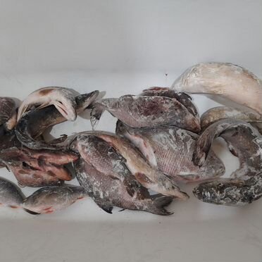 Рыба свежемороженая щука лещ судак карась 15кг