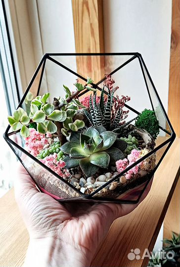Флорариум с суккулентами
