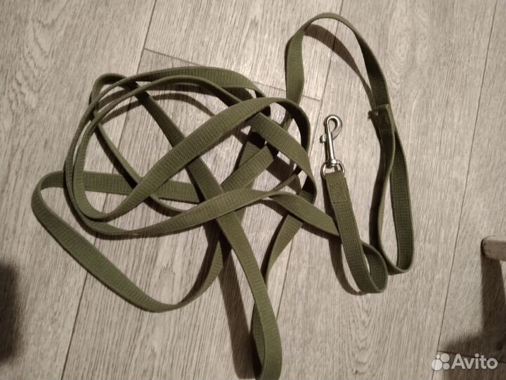 Ошейники и поводок