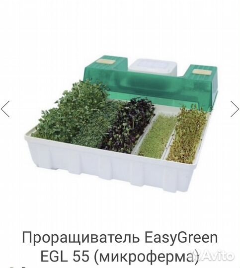 Проращиватель для микрозелени