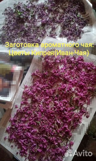 Иван чай ферментированный оптом 5кг