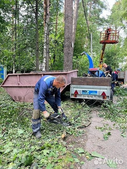 Измельчитель веток аренда дробилки