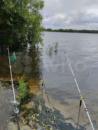 Участок 12 сот. (СНТ, ДНП)