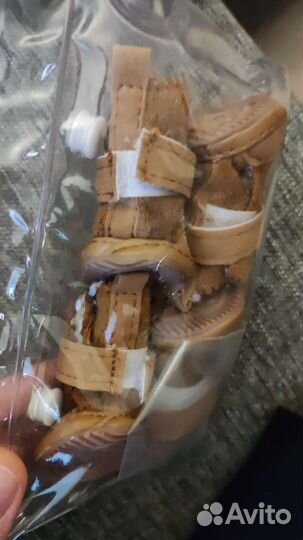 Одежда для собаки