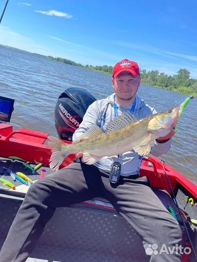 Рыбалка с гидом/Panoptix LVS 34