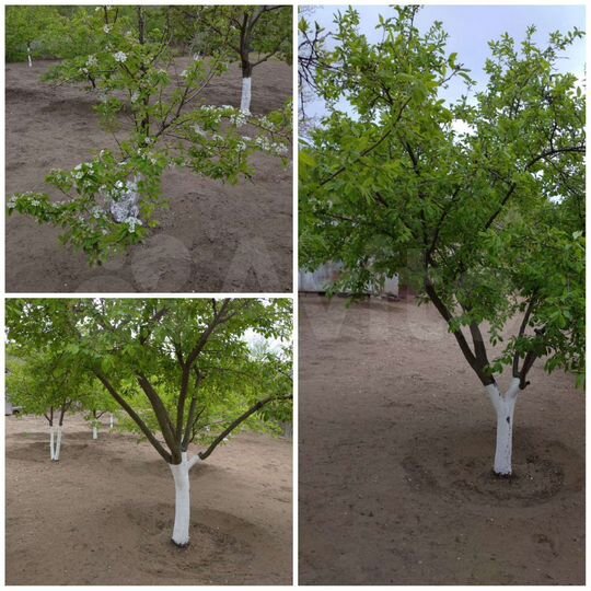 Участок 6 сот. (ИЖС)