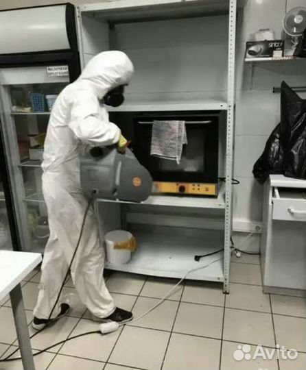 Уничтожение клопов тараканов блох мышей запаха