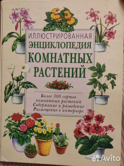 Энциклопедия комнатных растений