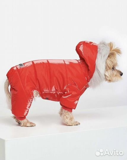 Одежда для собак