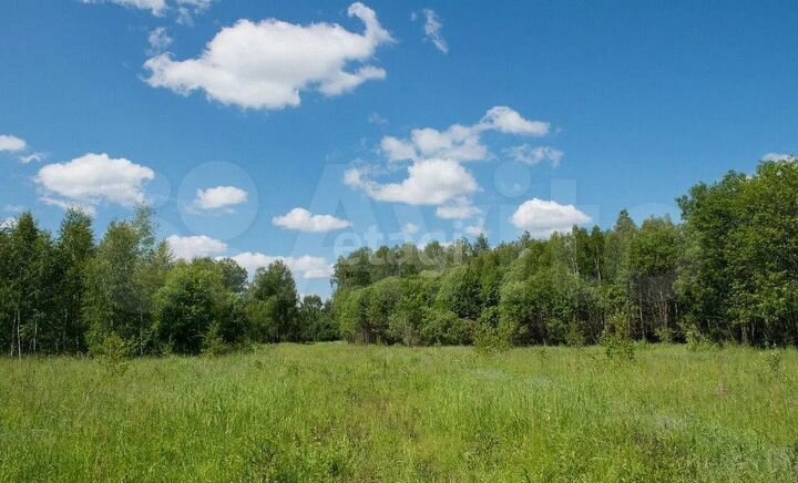 Участок 1,11 га (СНТ, ДНП)