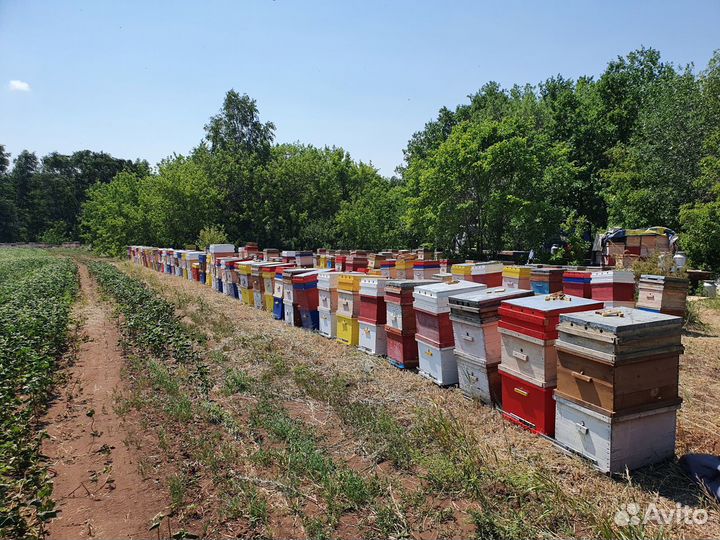 Свечи из вощины, воск со своей пасеки