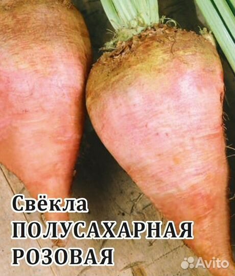 Семена Свекла кормовая