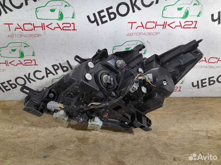 Фара правая Nissan Patrol Y62 (2010-2014)