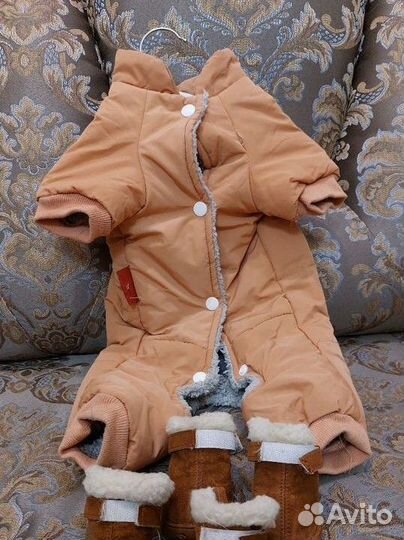 Одежда для собак