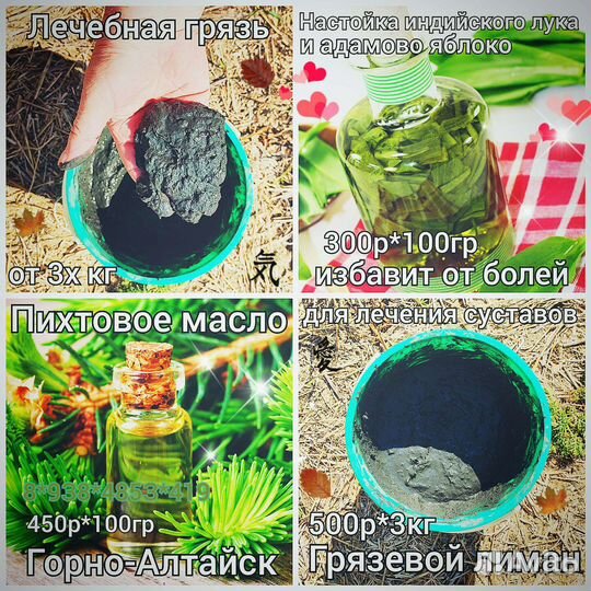 Индийский лук целебное растение пихта адамово ябло