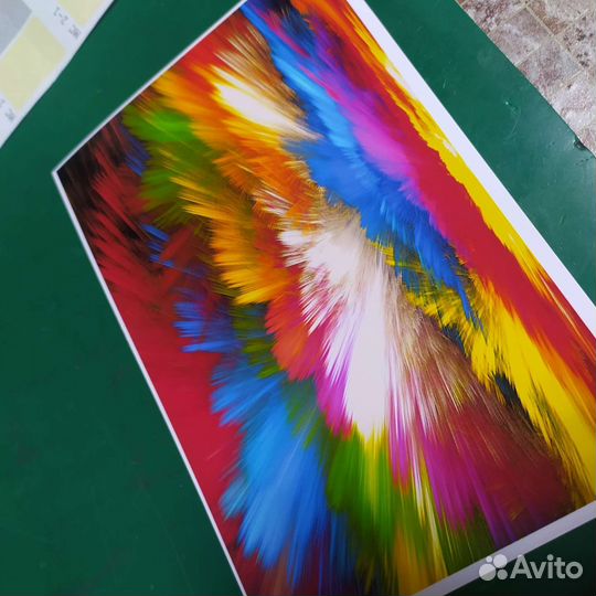 Принтер Epson L800 6 цветов снпч