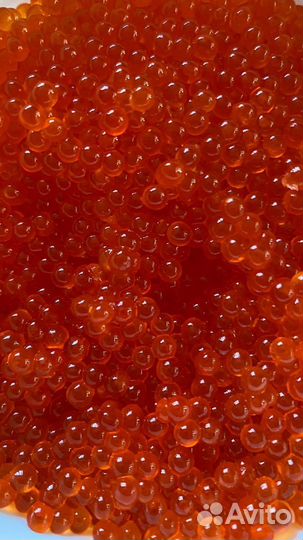 Икра красная кеты