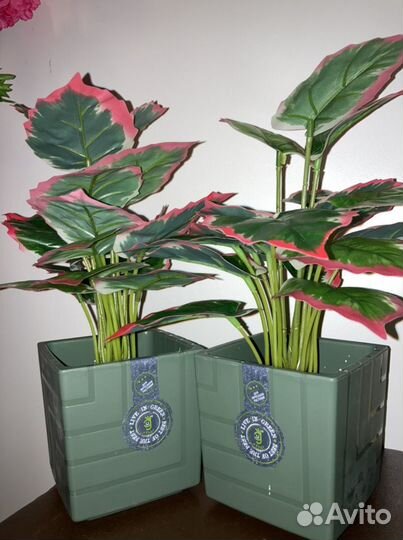 Искусственные зеленые горшечные растения