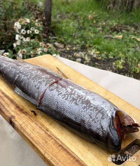 Копченая рыба
