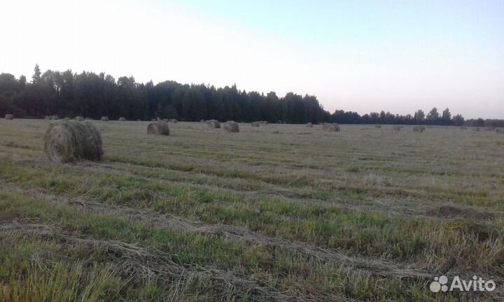 Фермерское хозяйство