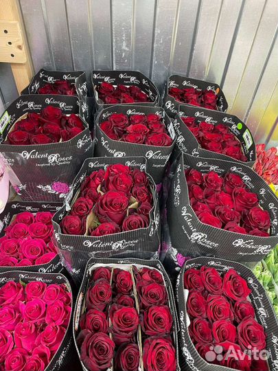 Цветы с доставкой из оптовой базы в розницу в дмд