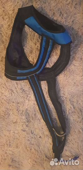 Амуниция для собак