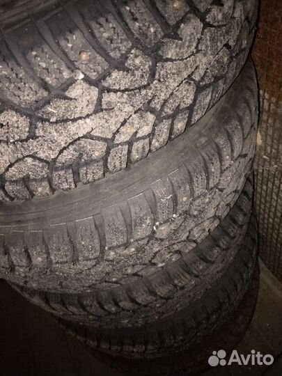Gislaved Nord Frost 5 175/70 R13