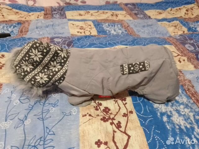 Одежда для маленьких собак