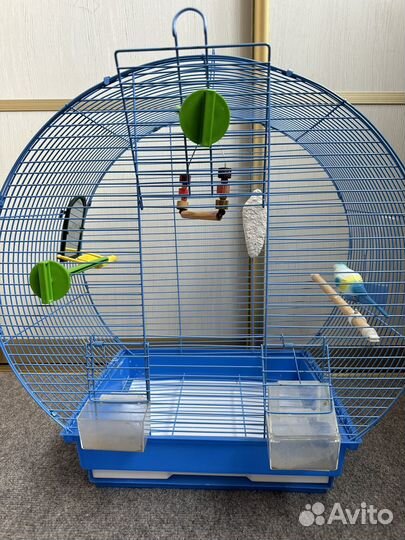 Клетка для попугая