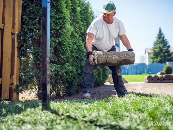 Продажа рулонного газона под ключ