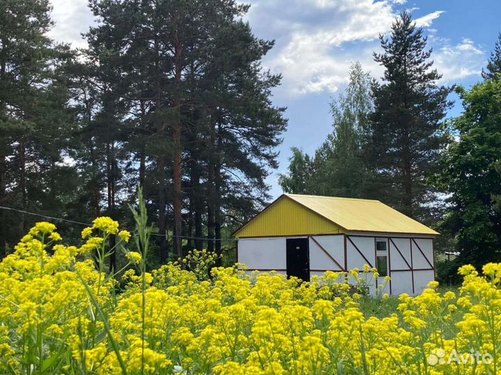 Дом на озере посуточно. база отдыха