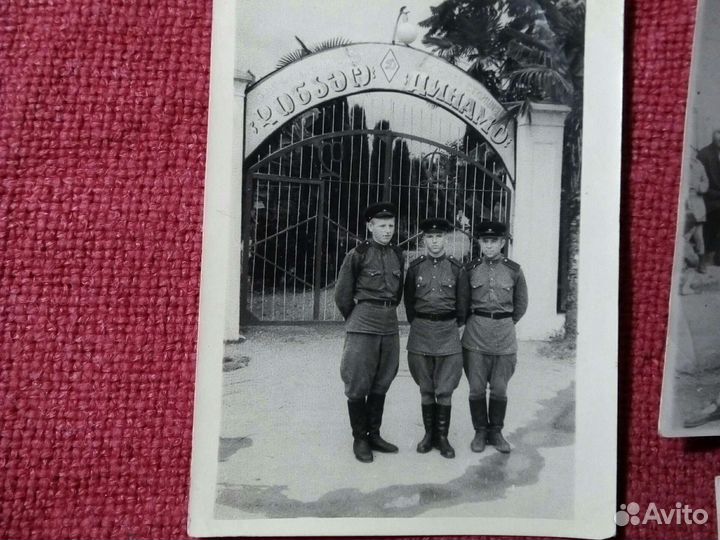 Фото /динамовцы'/ 4шт. середина XX века