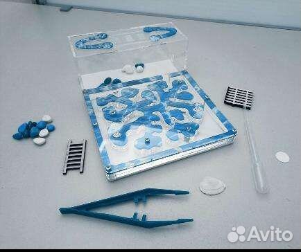 Муравьиная ферма