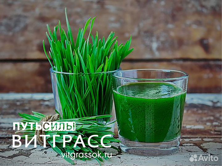 Витграсс - сок из ростков Пшеницы