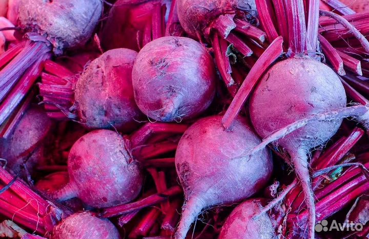 Свекла опт от 1 т
