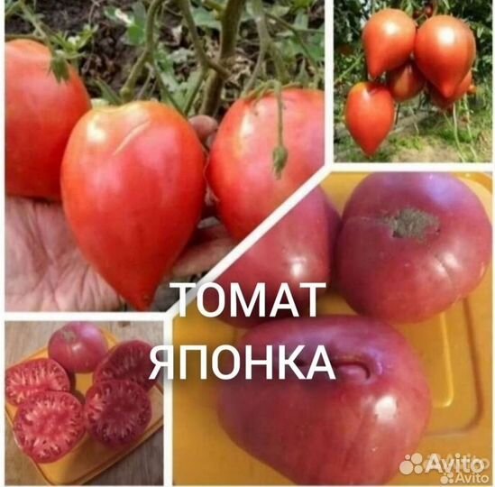 Семена коллекционных сортов и Биф сортов томатов