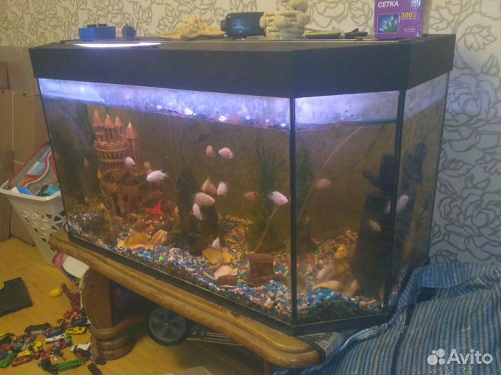 Аквариум