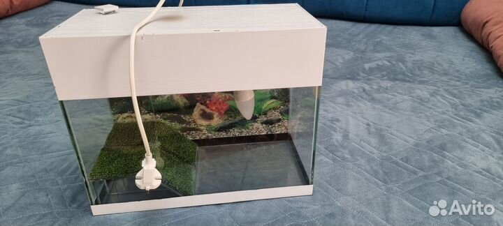 Террариум для красноухой черепахи