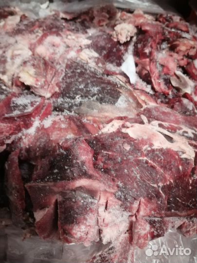 Мясо для собак