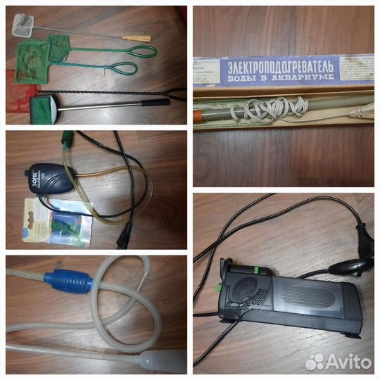 Аквариумистика