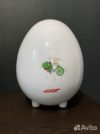 Контейнер для яиц рептилий