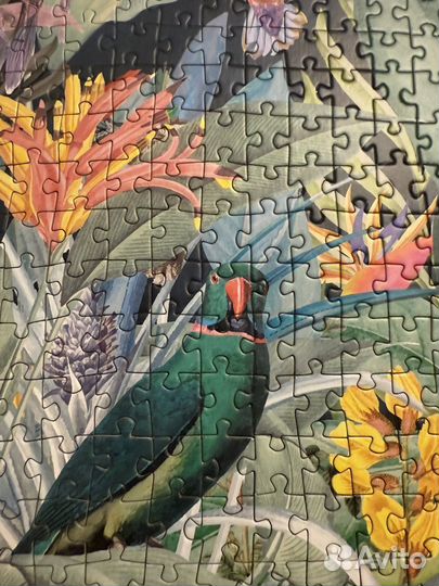 Пазлы 1000 деталей-тропические попугаи