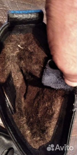 Сопаги Зимние Охота Рыбалка