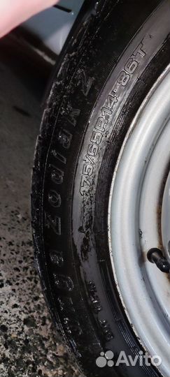 Лето Tunga Zodiak2 175/65r14 на штампах ваз