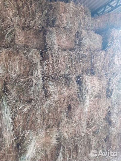 Сено в тюках