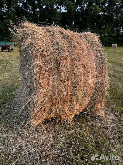 Сено в тюках
