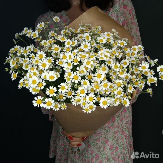 Букет из полевых ромашек