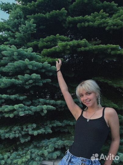 Администратор